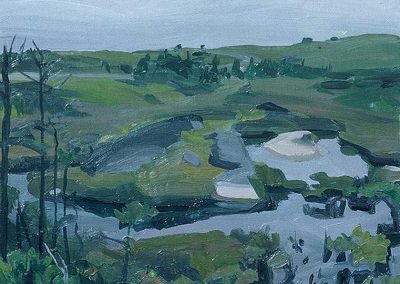 Cheryl Wilcox - "Clam Pond Study"