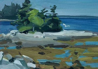 Cheryl Wilcox - "Seagull Island Low Tide"