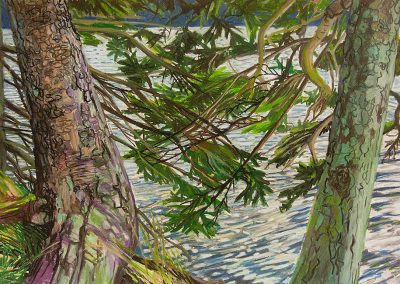 Hallie Watson - "Balsam and Pine Branches"