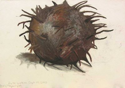 Hallie Watson - "Prickly Thing - Chestnut, Greyish"