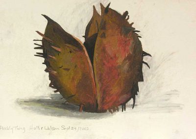 Hallie Watson - "Prickly Thing - Chestnut No.2"