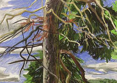 Hallie Watson - "Pine Tree Overlooking the Arm"