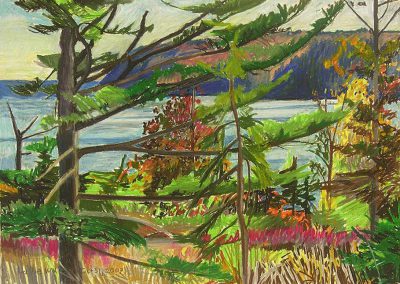 Hallie Watson - "Point Pleasant Park and Water"