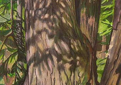 Hallie Watson - "Shadowed Tree Trunk"