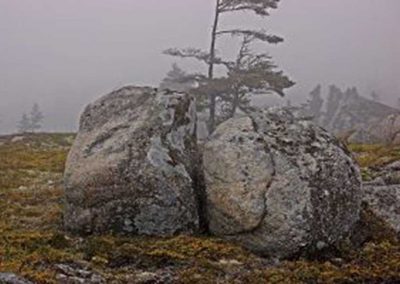 Ron Webber - "Peggy's Cove, NS"