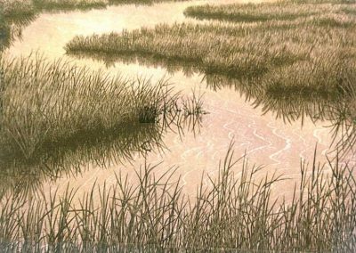 Suezan Aikins - "Evening Marsh"