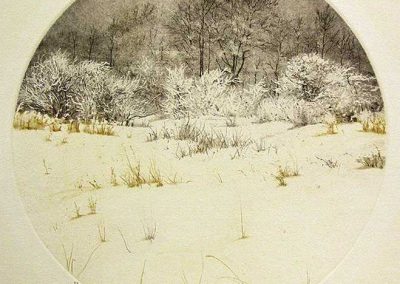 Susan Patterson - "Snow Covered Meadow"