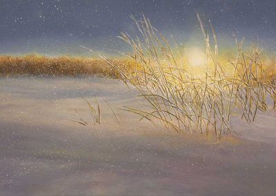 Vicki MacLean - "January Evening"