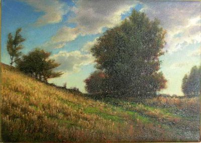 Willem Verhulst - "Hillside"